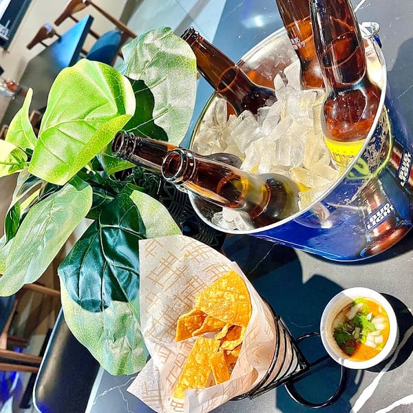 A bucket of Bud Light beers on ice, with chips and salsa, and a green plant.